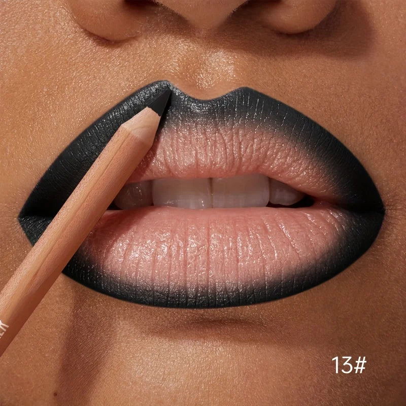 1pc Matte Lipstick & Liner Pen, Waterproof, Long-Lasting, Non-Stick, Berry Shades for All Skin Types